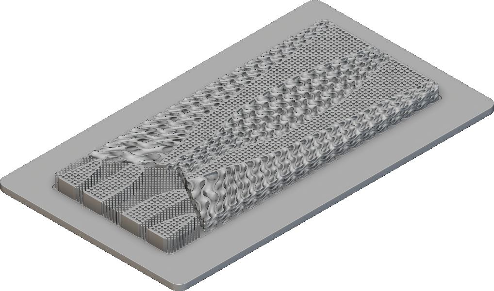 maya basic